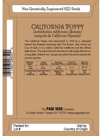 California Poppy