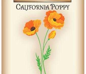California Poppy