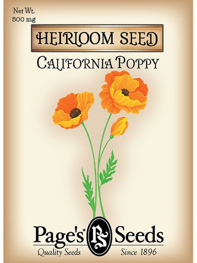 California Poppy