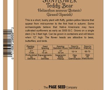 Sunflower Teddy Bear