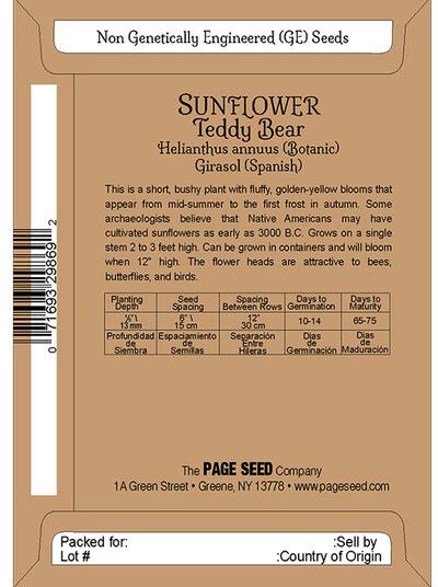 Sunflower Teddy Bear