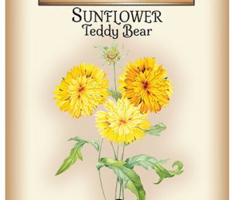 Sunflower Teddy Bear