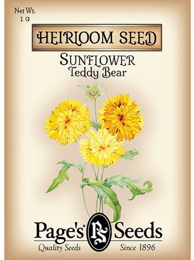 Sunflower Teddy Bear
