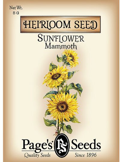 Sunflower Mammoth