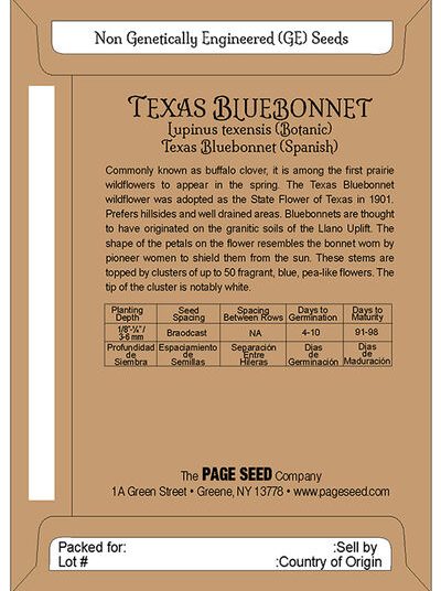 Texas Bluebonnet
