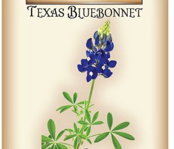 Texas Bluebonnet