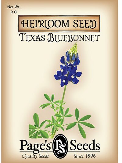 Texas Bluebonnet