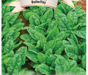 Spinach Butterflay