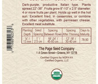 Eggplant Long Purple