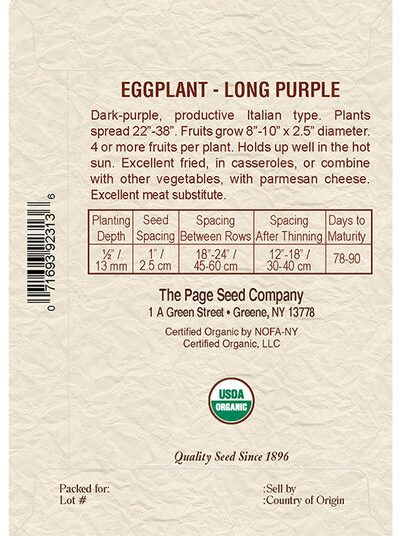 Eggplant Long Purple