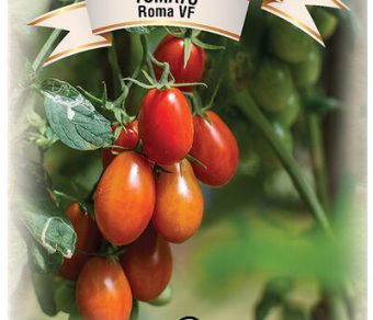 Tomato Roma VF