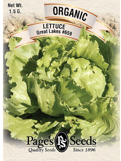 Lettuce Great lakes