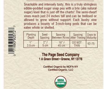 Snap Peas Sugar Daddy