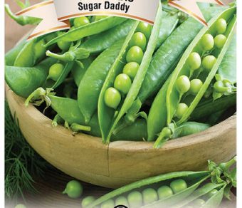 Snap Peas Sugar Daddy