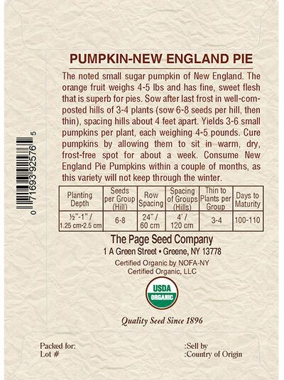 Pumpkin New England Pie