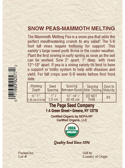 Snow Pea Mammoth Melting