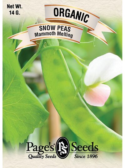 Snow Pea Mammoth Melting