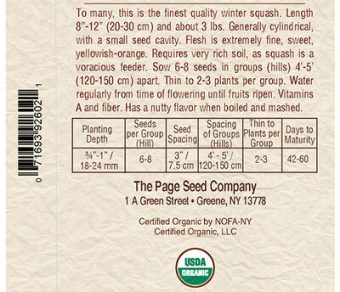 Squash Waltham Butternut