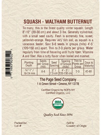 Squash Waltham Butternut