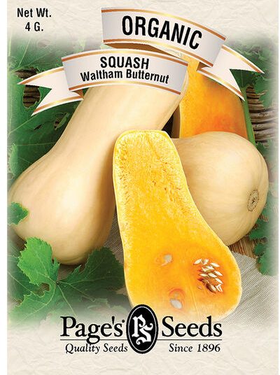 Squash Waltham Butternut
