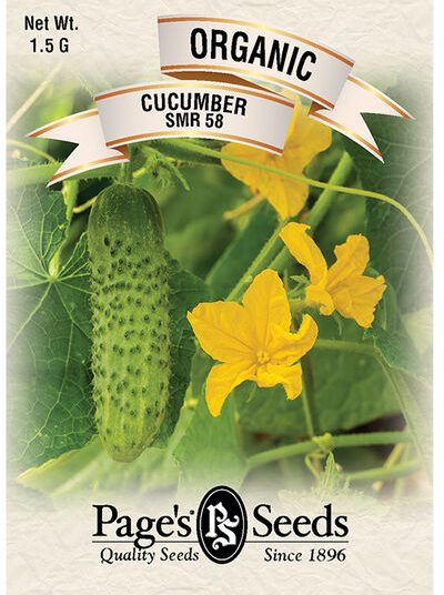 Cucumber Wisconsin SMR