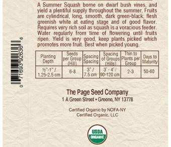 Zucchini Black Beauty