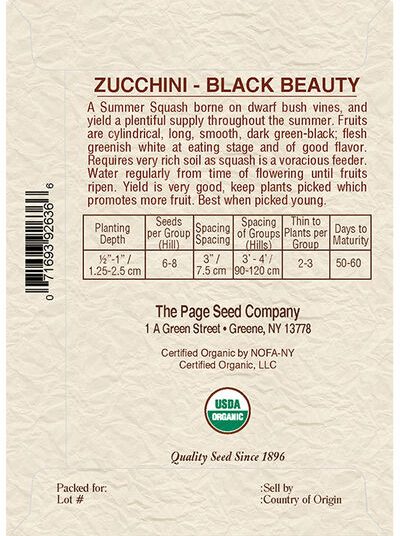 Zucchini Black Beauty