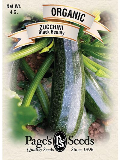 Zucchini Black Beauty