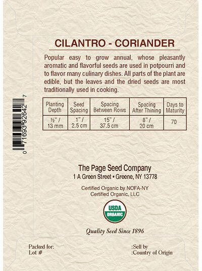 Cilantro Coriander