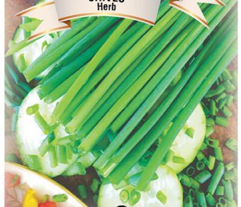Chives Herb