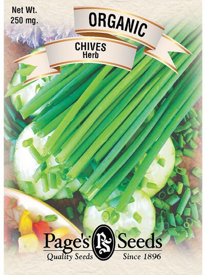 Chives Herb