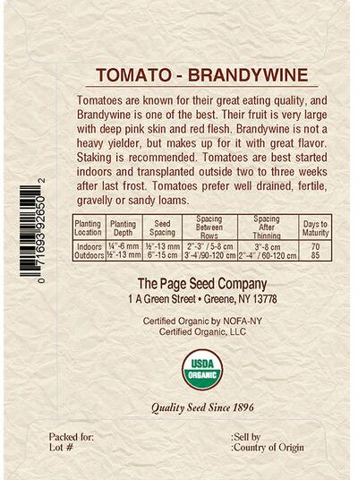 Tomato Brandywine
