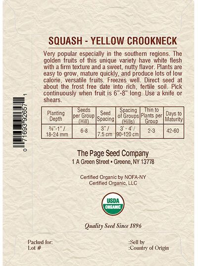 Squash Yellow Crookneck
