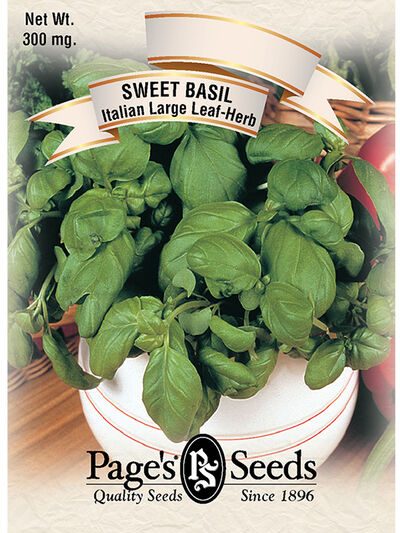 Sweet Basil Itlaian Large Leaf Herb