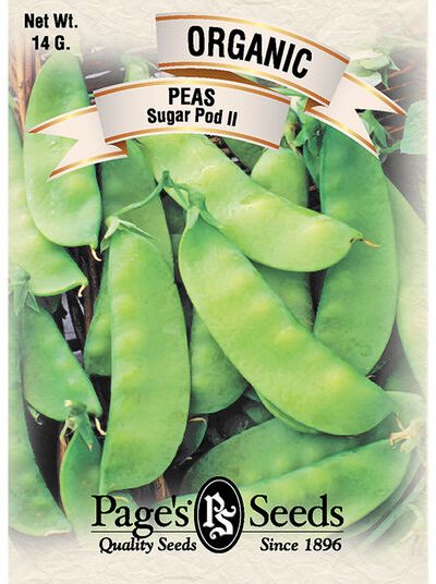 Pea Oregon Sugar Pod II