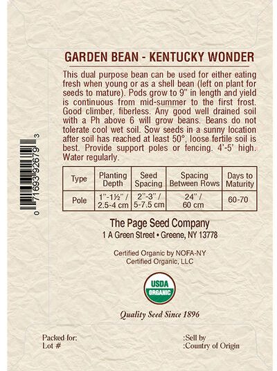 Garden Bean Kentucky Wonder
