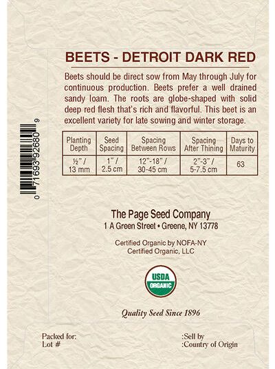 Beet Detroit Dark Red