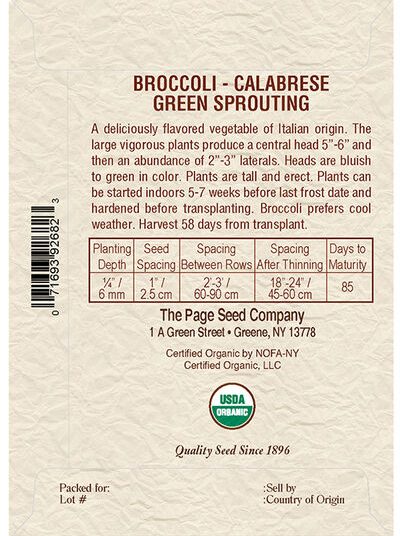 Broccoli Early green