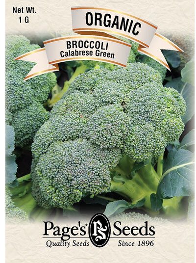 Broccoli Early green