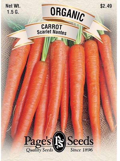 Carrot Scarlet Nantes