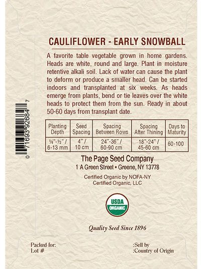 Cauliflower Early Snowball