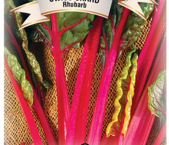 Swiss Chard Rhubarb