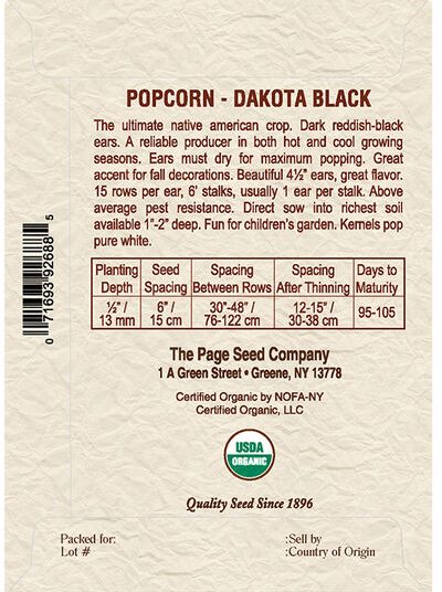 Popcorn Dakota Black