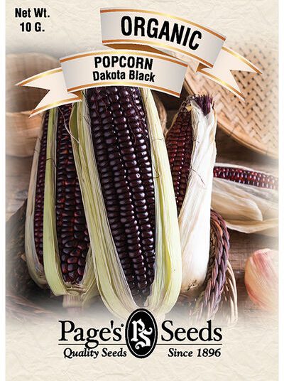 Popcorn Dakota Black