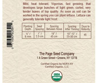 Lettuce Black Seede Simpson