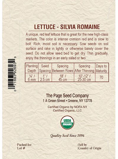 Lettuce Silvia Romaine