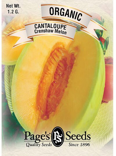 Cantaloupe Crenshaw Melon