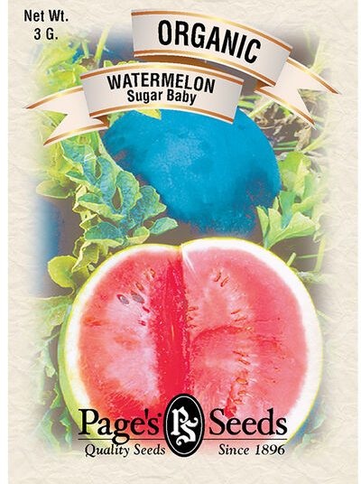 Watermelon Sugar Baby