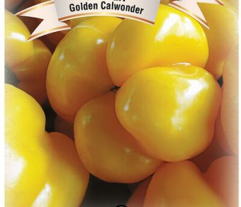 Pepper Golden Calwonder