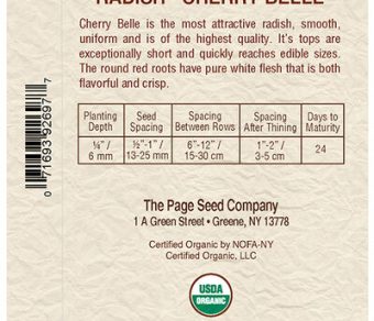 Radish Cherry Belle